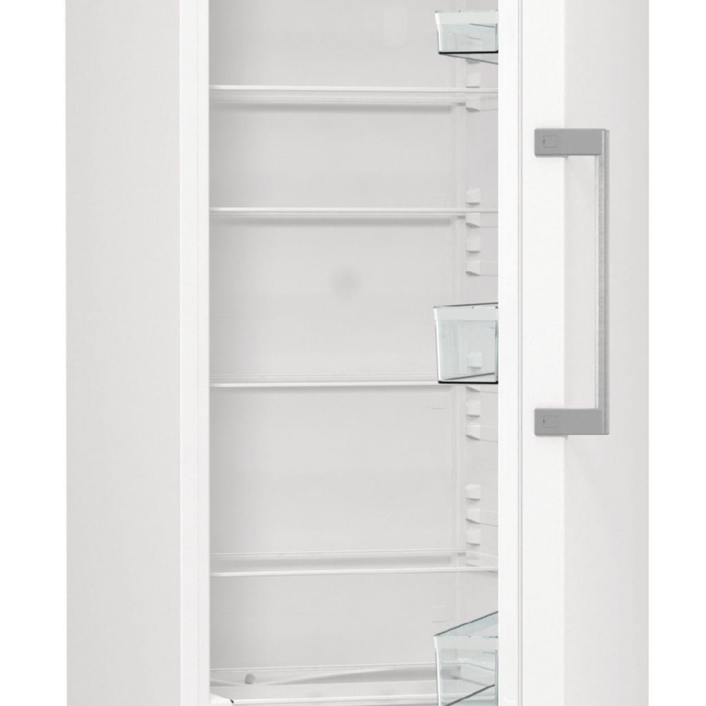 GORENJE Kühlschrank R 619 EEW5, 185 cm hoch, 59,5 cm breit, 398 Liter Volumen